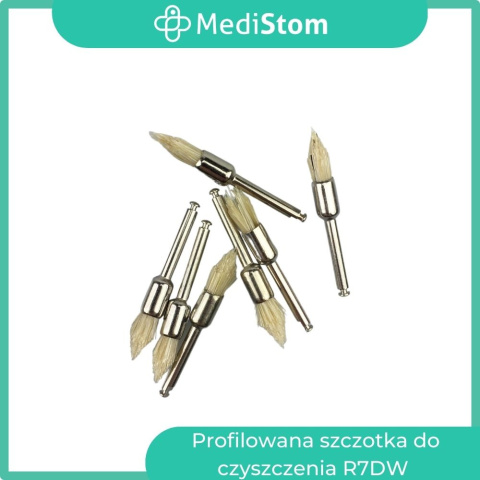 Szczoteczka do polerowania na kątnicę R7Dw; 10 szt. Szczoteczka do polerowania na kątnicę R7Dw; 10 szt.